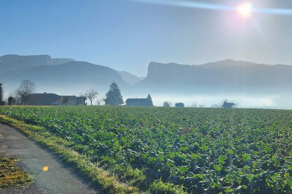 Arrivée à Grand Maison